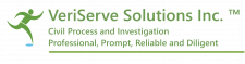 VeriServe Solutions Inc.™